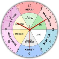 Chinese Organ TCM Body Clock Traditional Chinese Medicine Modern Design Wall Clock Energy Cycles for Health and Healing Artwork