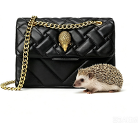 Women's handbag, one shoulder crossbody bag, hedgehog small bag, handbag, versatile bag, summer