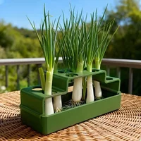 Hydroponic Plants Re-grow Breeding Box Garden Home Mini Planting Box Minced Scallions Cilantro Lettuce Basil Rosemary Growth Box