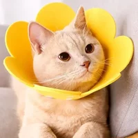 Flower Shape Durable Cat Recovery Collar Adjustable Wound Healing Protective Cone Collars For Cats Kitten Small Dogs Pupply