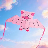 Cute Pink Pig Kite for Kids - 102cm Easy-to-Fly Animal Kite, Durable Fabric for Outdoor Play, Beach & Park (Ages 12+)