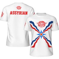 AliExpress Sugiuchi Assyrian Flag T-shirts Men Women Mesh Clothing Sports Breathable For Running Bike Tennis Fitness