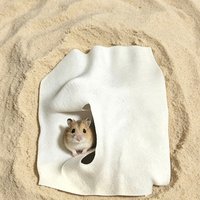 Underground Burrow Peep Box Hamster Hideout Tunnel CaveBuried Bedding House Syrian Hamster Reptile Aquarium Terrarium Decor Hide