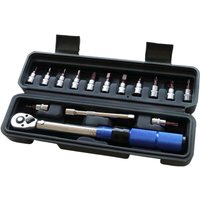 AliExpress NONE Bike Torque Wrench 14 Preset 2 To 25Nm Hex Wrench Repair Kit for Bicycle Maintenance