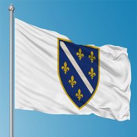 FLAGDOM Bosnia and Herzegovina 1992-1998 Flag 90X150cm Polyester National History Flags For Decoration