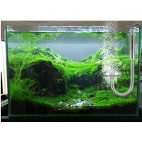 5L Double Aquarium CO2 Generator System Kit CO2 Cylinder Generator System with Solenoid Valve Bubble Diffuser Carbon Dioxide