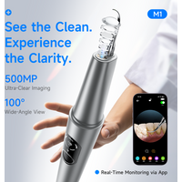 CURVY MOON Visible Electric Ultrasonic Tooth Cleaner with Camera Tartar Remover Tooth Stain Cleaning Tools Teeth Whitening Care