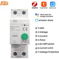 TUYA zigbee Smart Switch smartlife 2P 63A Energy Meter Kwh Metering Monitoring Circuit Breaker Timer Relay MCB