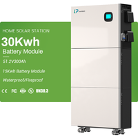 Hybrid Inverter Stackable IP65 Solar Energy Storage All-in-One 30kWh/15KWh Lithium Battery 51.2V/280Ah LiFePO4 Power Station