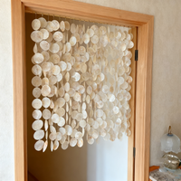 Aqumotic Shell Curtains for Doorways Room Divider Partition Room Dividers Screen Indoor Decor 3m 1pc Divisor De Habitaciones