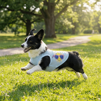Thin Breathable Mesh Dog Vest Soft Fabric Cooling Dog Summer Clothes Round Neck Comfortable Fit Cooling Pet Vest Daily Walk