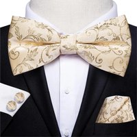Paisley Mens Pre-Bow Tie Hanky Cufflinks Set Floral Butterfly Check Plaid Knot Bowtie Wedding Business For Men Shirt Suit