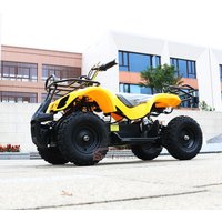 New Model Adult Electric ATV 500w 48v Aluminium Alloy Frame Quad Bike With Four Big Wheels Economical Kids Electric Vehicle