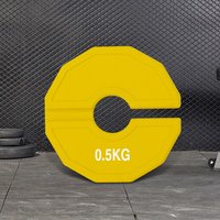 2Pcs Steel Insert Weight Plates Non Slip Micro Weight Plates Set Multi-Function Barbell Free Weight Plate Set for Weightlifting