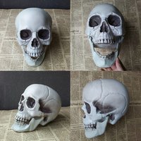 Halloween Artificial Skull Head Model Skull Bone Scary Horror Skeleton Ornament