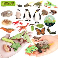 Latest Lifelike Animals Panda Moth Life Cycle Insect Penguin Frog Figurines DIY Action Figures Early Education Toys for Children