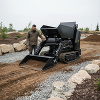 Customized Crawler Mini Dumper, 1000kg Euro 5 EPA, Fast Delivery for Construction, High Quality, Dump Truck