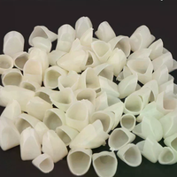 120Pcs (50 Molar+70 Anterior ) Dental Teeth Veneers Temporary Crown Gum Protection And Stable Dental Material Set