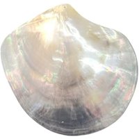 1pcs Natural 60mm big Seawater Black Shell Pendant Jewelry Making DIY Necklace Accessories Gift