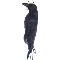 Halloween Decor Simulation Crow Bird Mold Animal Ornaments Realistic Hanging Dead Crow Decoy Props Decoration Crow Prop Decor