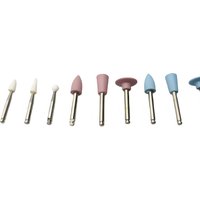 RA0309 Dental Polishing Kit - 10PCS Ceramic & Silicone Polishers for Low Speed Handpiece, Teeth Cleaning & Restoration Tools