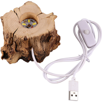 Crystal Wooden Base Tree Stump LED Light Holder 6cm High 0.15kg USB Night Light Desk Decor Color Change Home