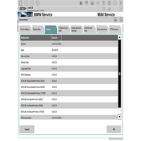 2026 latest version Rheingold ISTA 4.59.30 Full PSdZData programming software comes with 22-in-1 tools + Remote installation