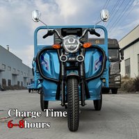 LB-LB160G Cargo Delivery 3 Wheel Electric Tricycles Electric Three Wheeler Cargo 1000W EEC Electric Trike Scooter Cargo Bike