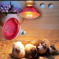 250w Infrared Heat Lamp E27 Waterproof Anti-Explosion Thickened Light Bulbs Heat Lamp Thermal Preservation for Piglet Chicken