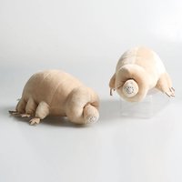 25CM Cute Tardigrade Plush Toy Soft Stuffed Animal Toy Lovely Water Bear Insect Doll Kids Educational Toy Boys Birthday Gift