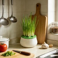 Green Onion Regeneration Planter Pot 3D Printed Hydroponic Plant Propagation Station Indoor Kitchen Gardening Home Gardening