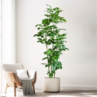 Artificial Money Tree Plant,Fake Potted Plant,Ideal for Home,Wall Decor,Outdoor Decor and Accessories,Modern Living Room Decor