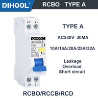 DPNL RCBO Residual Current Circuit Breaker Type a 30mA B/C Curve RCD MCB 1P+N Leakage Protection 10A 16A 20A 32A 40A Amp Ratings
