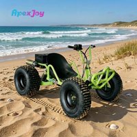 GX-200cc 4-Stroke Road Go-Kart Outdoor Buggy Adult Racing Recreational Recreational Vehicle