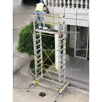 Aluminum Alloy Scaffolding Movable Telescopic Scaffolding Factory Folding Engineering Ladder Platform and Pedal Accessories