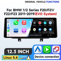 Hizpo Linux 5.4 System 12,3'' Auto-Multimedia-Player für BMW 1/2 Serie F20 F21 F22 F23 2011-2019 Mask NBT EVO System IPS Auto-Intelligent-Bildschirm Pro AI für Apple Wireless Carplay Android Auto