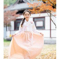 Korean Traditional Costume New Ethnic Costume Korean Hanbok for Girls Princess Dress Female Hanbok