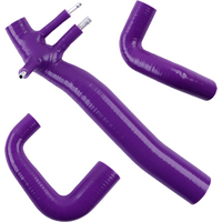 Silicone Intercooler Pipes Air Intake Hoses Kit For Smart Fortwo 450 & Roadster 452 600cc 700cc Turbo 1999-2007