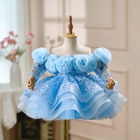 Sky Blue Off Shoulder Toddler Flower Girl Dress 3D Rose Sequin Long Sleeve Ruffle Tulle Gown Cake Smash Birthday Pageant Wedding