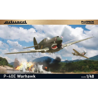 Eduard Plastic Assembled Aircraft Model Kit 82241 P-40E Warhawk 1/48
