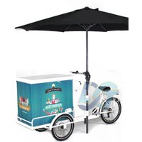 AliExpress HAOYUNMA Ice Cart with Freezer Bike 200L Ice Cream Bike Cart Tricycle for Sale