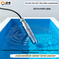 Hydrostatic Liquid Level Sensor 3m 5m 10m 20m Factory sale 4-20mA 0-10V oil fuel 5VDC water Transmitter RS485 tank well