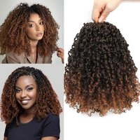 8/12inch Synthetic Yanky Twists Crochet Braiding Hair Extensions Short Passion Twist Crochet Hair Pre-looped Curly Braids Women