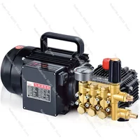 QL-390 brass plated triplex plunger pump household washing machine high pressure washer car wash 1.6-1.8KW 80-100bar 10LPM