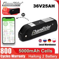 ChamRider Akku für E-Bike 36V 20AH Hailong 1 Batterie 48V Lithium-Akku 500W Fahrrad-Akku