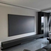 ALR Fresnel Projector Screen with 9mm Fixed Frame Ambient Light Rejection 4k 3D for UST/Long Throw Laser Projector Customized