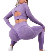 Fashion Seamless Yoga Wear Peach Hips Women Back Hollow Long Sleeve Sports Yoga Suit Fitness Wear Women