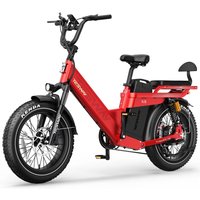 AliExpress TESWAY X5 PRO Adult Electric Bicycle,1000W city ebike, 48V 60AH E-bike, 20-Fat Tire E-Mountain bike