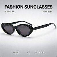 Unisex TR90 Lightweight Retro Oval Polarized Sunglasses, Trendy Street Style Ins Fashion Eyewear