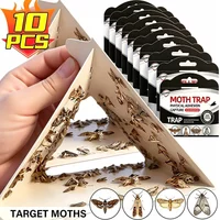 Non Toxic Moth Trap Green Frame White Background Sticky Effective Pantry Clothes Moth Catcher Safe Kitchen Cupboard Pest Control